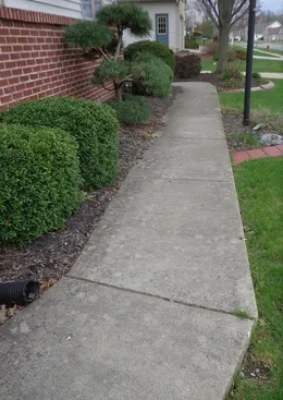 Before: concrete front walkway beside a brick wall and shrubs